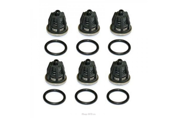 Комплект клапанов для Royal Press (17859) KIT 01